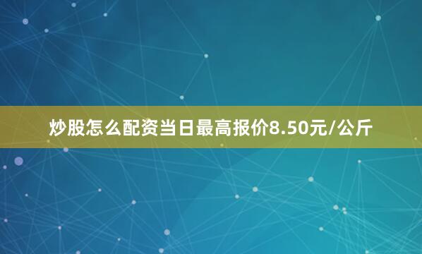 炒股怎么配资当日最高报价8.50元/公斤