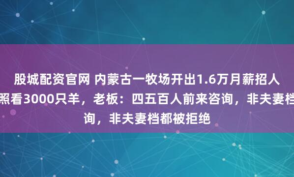 股城配资官网 内蒙古一牧场开出1.6万月薪招人在无人区照看3000只羊，老板：四五百人前来咨询，非夫妻档都被拒绝