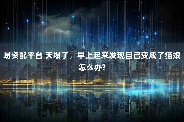 易资配平台 天塌了，早上起来发现自己变成了猫娘怎么办?